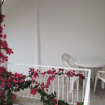 Apartamentos Turisticos Arosa Ogrove O Grove Zewnętrze zdjęcie