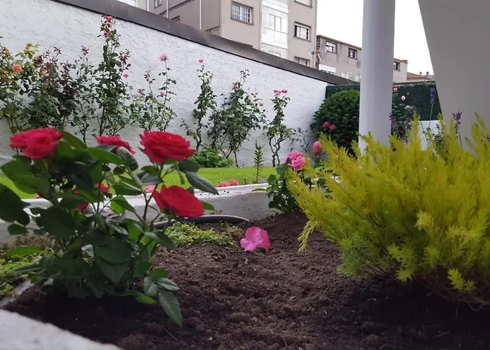 Apartamentos Turisticos Arosa Ogrove
